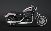 2013 Harley-Davidson Sportster 883 Roadster photo